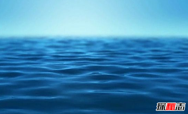 十大最奇怪最危險的深海生物,籃星壽命可長(cháng)達35年