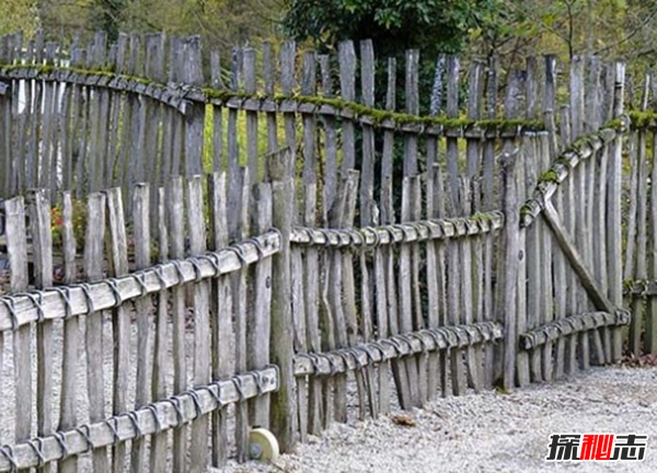 十個(gè)恐怖的真實(shí)醫學(xué)故事,你能堅持看完嗎?(令人不安