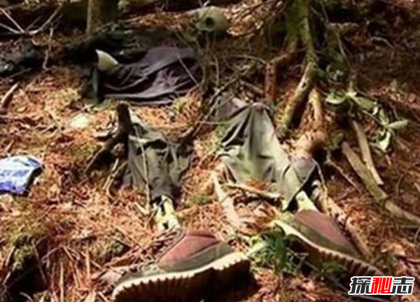 食人柳真吃人?莫昆斯克發(fā)現4000多年的食人柳(100米內勿靠近)