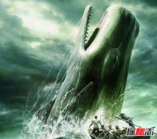 史前第一可怕巨獸, 龍王鯨vs巨齒鯊誰(shuí)才是最厲害的?