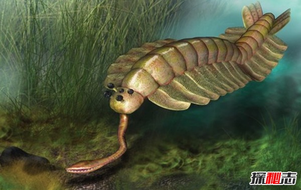 史前最恐怖的10種生物 第十有四層樓高,第四統治海洋1.3億年
