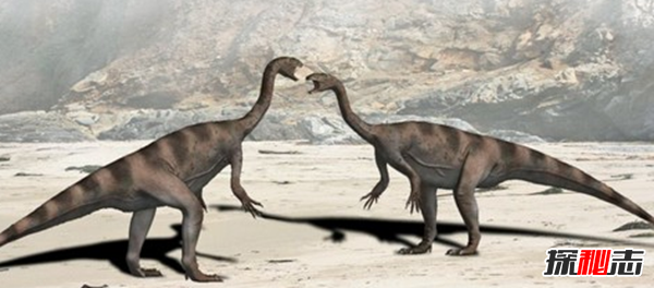 史前最恐怖的10種生物 第十有四層樓高,第四統治海洋1.3億年