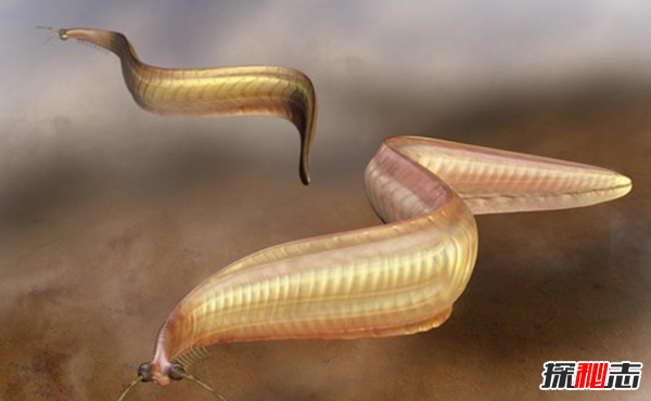 史前最恐怖的10種生物 第十有四層樓高,第四統治海洋1.3億年