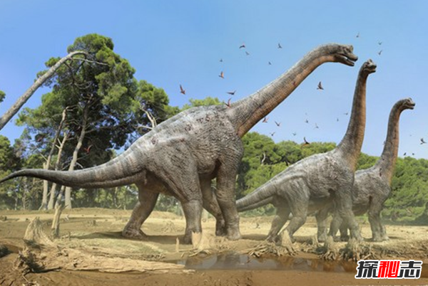 史前最恐怖的10種生物 第十有四層樓高,第四統治海洋1.3億年