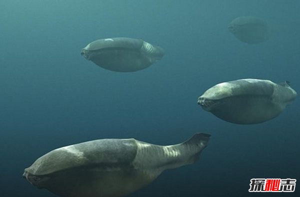 史前最恐怖的10種生物 第十有四層樓高,第四統治海洋1.3億年