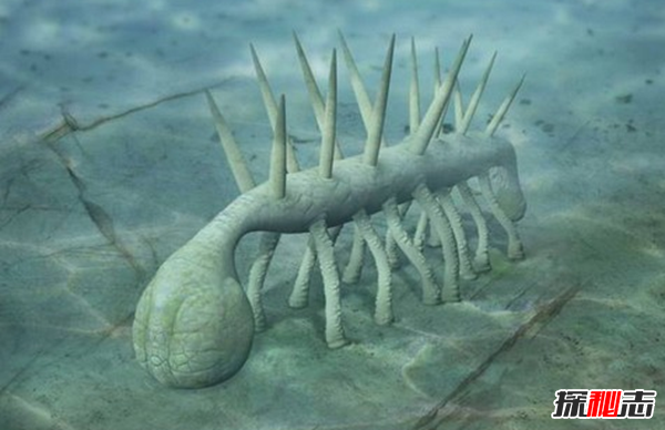 史前最恐怖的10種生物 第十有四層樓高,第四統治海洋1.3億年