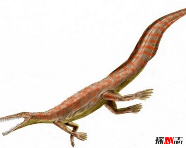 史前最恐怖的10種生物 第十有四層樓高,第四統治海洋1.3億年