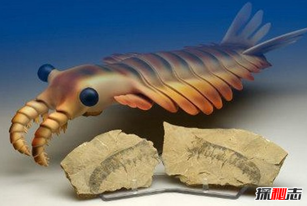 史前最恐怖的10種生物 第十有四層樓高,第四統治海洋1.3億年