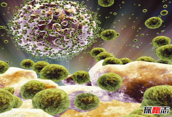 史上死亡人數最多的流行?。喝澜缃?億人喪生(慘不忍睹)