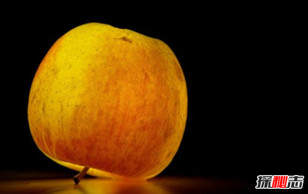 世間真有神器存在嗎?史上最不尋常的十大神器