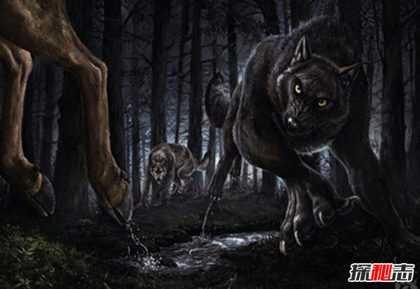 世界10大未證實(shí)不明生物 連科學(xué)家都不敢公布(附圖片)