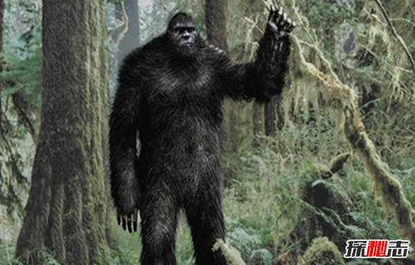 世界10大未證實(shí)不明生物 連科學(xué)家都不敢公布(附圖片)