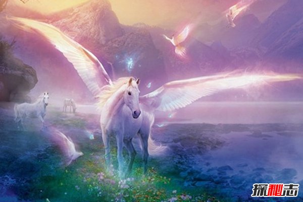 世界10大未證實(shí)不明生物 連科學(xué)家都不敢公布(附圖片)