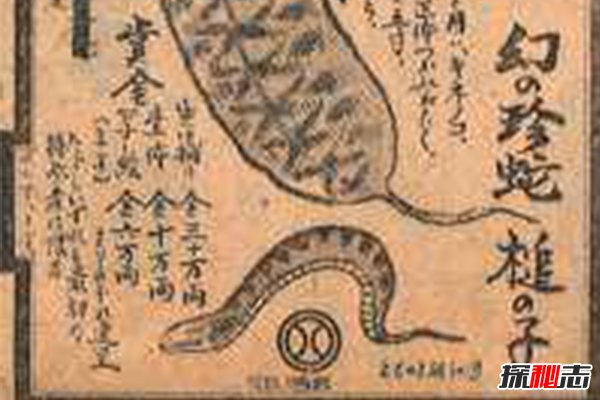 世界18大恐怖怪獸