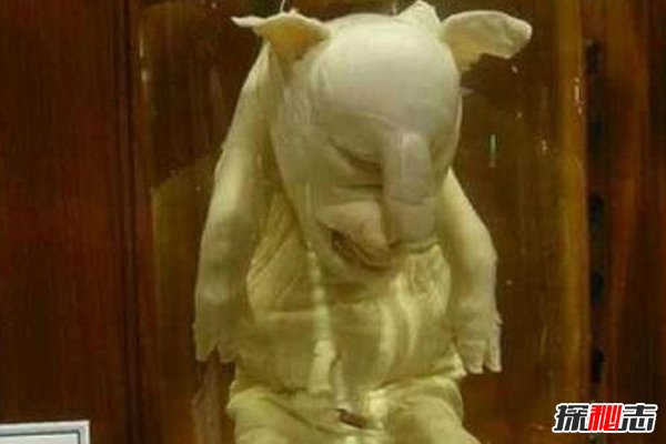 世界18大恐怖怪獸