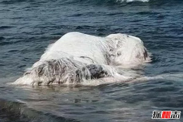 世界18大恐怖怪獸