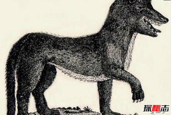 世界18大恐怖怪獸