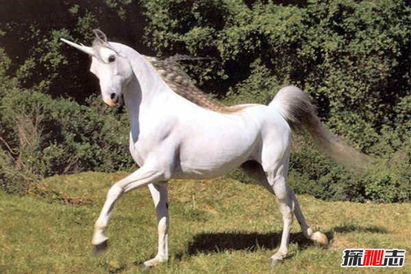 世界18大恐怖怪獸