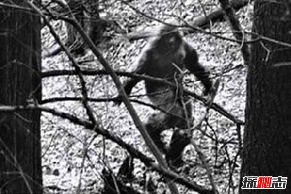 世界18大恐怖怪獸