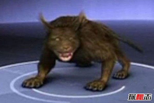 世界18大恐怖怪獸