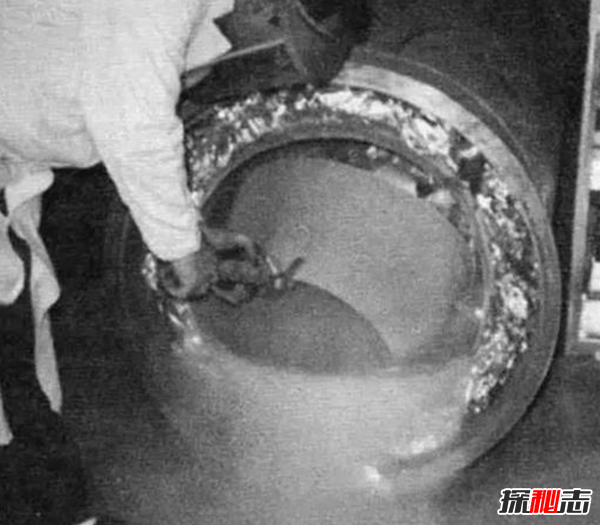 世界第一位冰凍人:詹姆斯貝德福復活了嗎