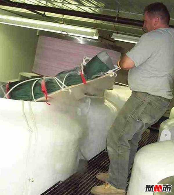 世界第一位冰凍人:詹姆斯貝德福復活了嗎