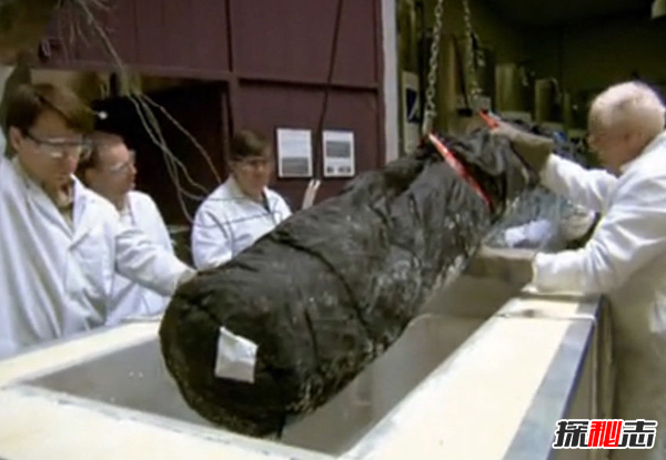 世界第一位冰凍人:詹姆斯貝德福復活了嗎