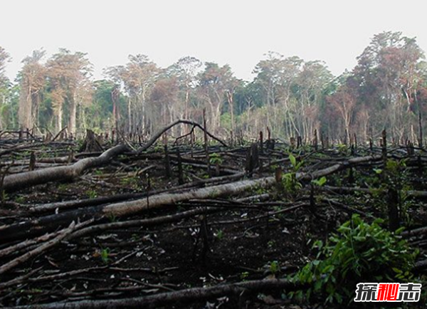 世界會(huì )毀滅是真的嗎?世界毀滅的10種方式(未來(lái)100年)