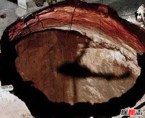 世界靈異事件真實(shí)案例,離身衣如同刀割黃豆般大小(持續至今)