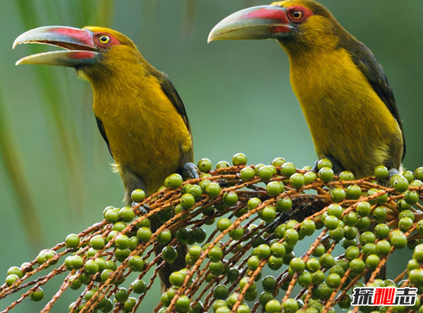 世界奇觀(guān)有哪些?全球十大罕見(jiàn)自然奇觀(guān)(附圖片)