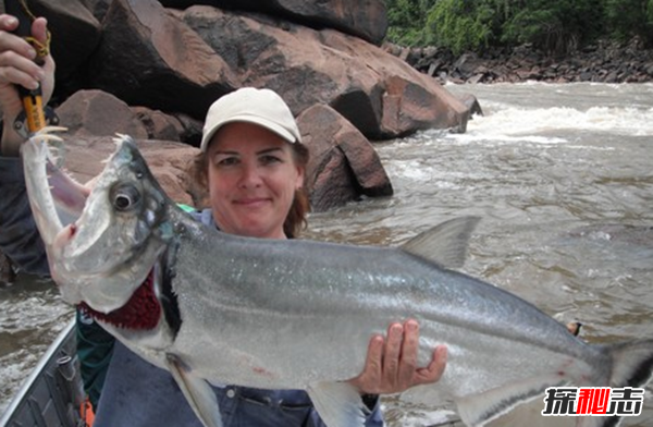 世界上10大長(cháng)得最詭異的魚(yú) 第十壽命長(cháng)達150年(電流極強)