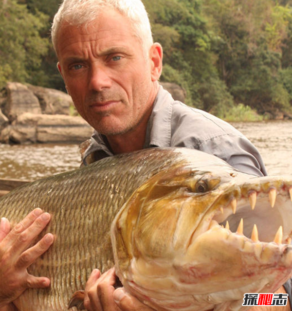 世界上10大長(cháng)得最詭異的魚(yú) 第十壽命長(cháng)達150年(電流極強)