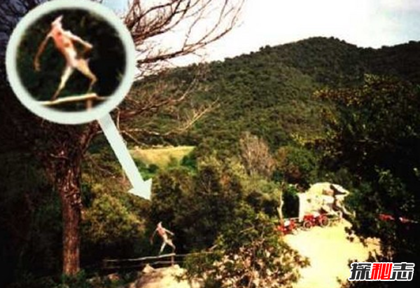 世界上出現的10大神秘物種 蜥蜴人你們都見(jiàn)過(guò)嗎?(附圖)