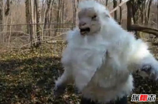 世界上出現的10大神秘物種 蜥蜴人你們都見(jiàn)過(guò)嗎?(附圖)