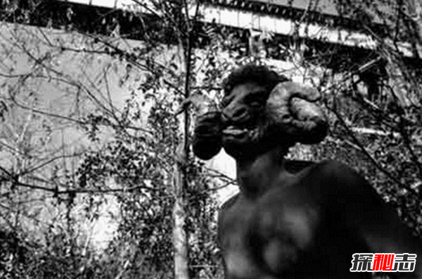 世界上出現的10大神秘物種 蜥蜴人你們都見(jiàn)過(guò)嗎?(附圖)