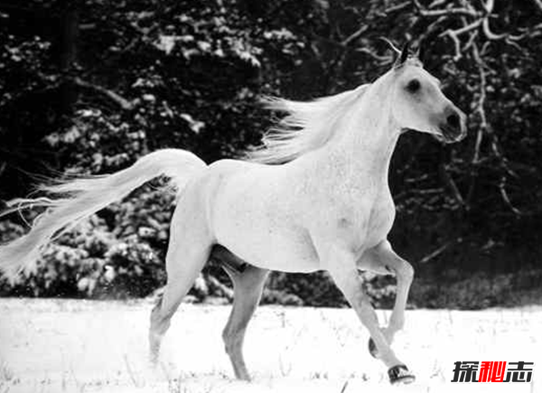 世界上的預言實(shí)現過(guò)嗎?史上最恐怖的十大預言