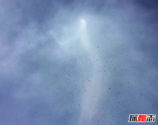 世界上有人拍到龍王