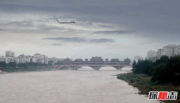 世界上有人拍到龍王