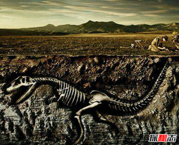 世界上科學(xué)解釋不了的事,印尼女子一夜長(cháng)出10公分鐵絲