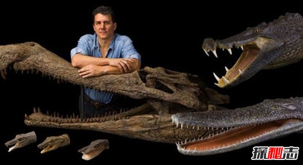 世界上什么動(dòng)物滅絕了?已滅絕的十大罕見(jiàn)動(dòng)物(幸好)