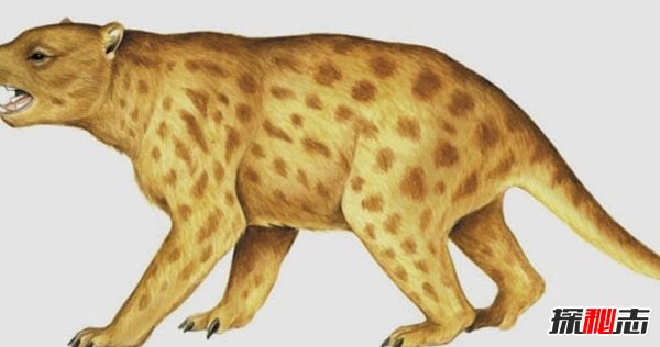 世界上什么動(dòng)物滅絕了?已滅絕的十大罕見(jiàn)動(dòng)物(幸好)