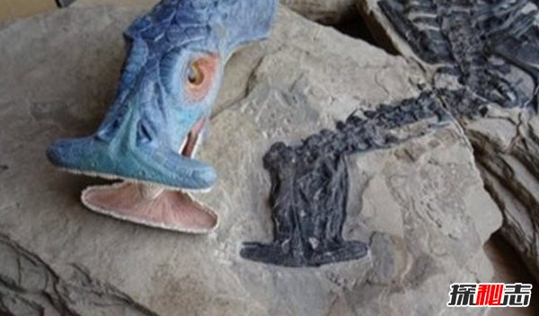 世界上什么動(dòng)物滅絕了?已滅絕的十大罕見(jiàn)動(dòng)物(幸好)