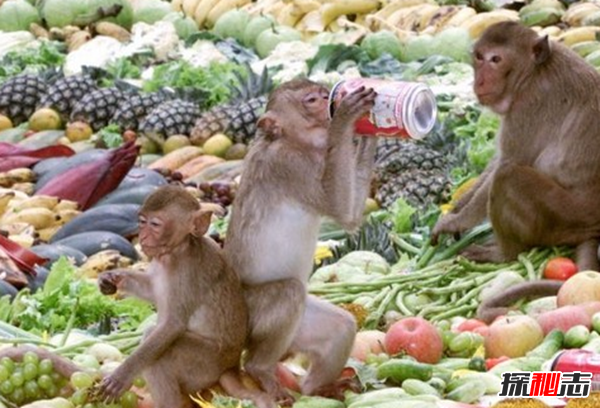 世界上十個(gè)奇怪有趣的節日 裸體節、UFO節榜上有名