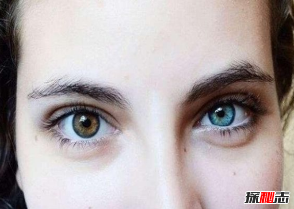 世界上眼睛最漂亮的人:詹姆斯.麥卡沃伊(湛藍星空般眼睛)