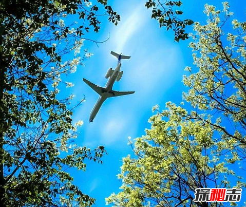 世界上有長(cháng)生不死的人嗎?亞馬遜原始森林死不了的人奧魯·烏加歐