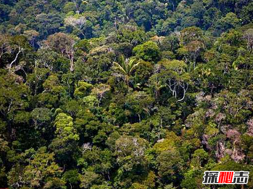 世界上有長(cháng)生不死的人嗎?亞馬遜原始森林死不了的人奧魯·烏加歐