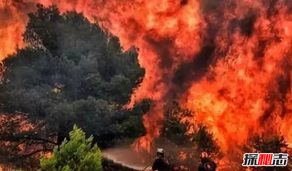 2018年嚴重自然災害大盤(pán)點(diǎn) 野火、地震不容小覷