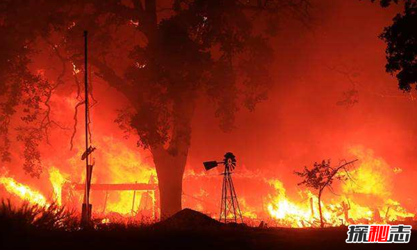 2018年嚴重自然災害大盤(pán)點(diǎn) 野火、地震不容小覷