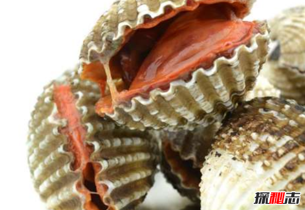 吃了立刻猝死的10種食物 猴腦上榜,第十是腎臟毒藥