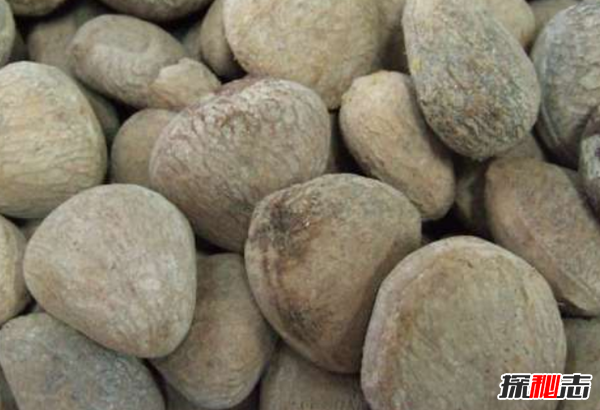 吃了立刻猝死的10種食物 猴腦上榜,第十是腎臟毒藥